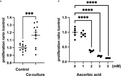 Diverse antitumor effects of ascorbic acid on cancer cells and the tumor microenvironment